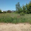 Działka 1620m z lasem sz21m Marki Warszawa Białołęka ME - 5