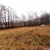 Piękna duża działka z WZ 1,52ha z linią jezioro Karw Mrągowo - 8