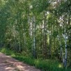 Działka rolna siedlisko ok 11,5 ha Łochów Węgrów Twarogi - 4