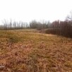 Piękna duża działka z WZ 1,52ha z linią jezioro Karw Mrągowo - 4