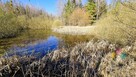 Działka ze stawem możliwość zabudowy, las, jezioro - 4