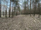 Działka budowlana Ruda-Bugaj gm. Aleksandrów Łódzki, Mała - 7