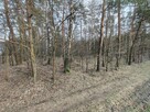 Działka budowlana Ruda-Bugaj gm. Aleksandrów Łódzki, Mała - 8