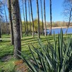 Biznesowa lub cel prywatny. - 3