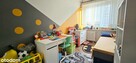 Piękne, 3 pokoje, 48m2, niski blok, balkon piwnica - 15