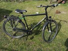 Rower Pegasus Avanti - 2