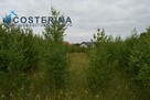 Działka budowlana Puc gm. Kościerzyna - 2