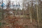 Działka rekreacyjna Piechowice gm. Dziemiany - 4