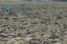 Działka budowlana Kalisz gm. Dziemiany - 7