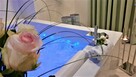 Sprzedam Obiekt z Apartamentami z wyposażeniem - 3