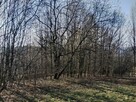 Działki w Bieszczadach koło Soliny - 3