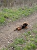 Gotowe do odbioru - 2
