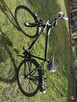 Rower Pegasus Avanti - 5