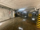 Toruń, Olsztyn,Elbląg Osuszanie drenaż odwodnienia - 3
