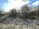 Działka 2,15 ha z potencjałem koło Nałęczowa. - 7
