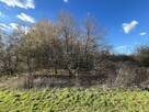 Działka 2,15 ha z potencjałem koło Nałęczowa. - 12