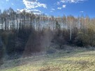 Działka 2,15 ha z potencjałem koło Nałęczowa. - 13