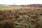 Działka usługowa Mierzyno gm. Gniewino, - 10