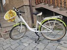 Rower Onilus Megi - 2