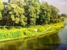 działka na Bugiem - 3
