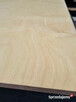 Sklejka 15 mm lakierowana ; 1525x2230mm - 2