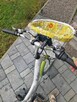 Rower Onilus Megi - 8