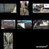 Sprzedam przyczepkę typu sam do remontu paka 130x240 - 8