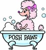salon pielęgnacji psów DAISY .fryzjer dla psów, groomer - 14