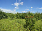 Działka budowlana Adamów-Parcel gm. Radziejowice, - 2