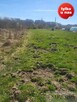 Działka Nowogard - 9