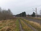 Działki budowlane nad morzem przy lesie - 5