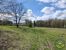 Aleksandrowice gm. Zabierzów - działka rolna 54ar k/ lasu ! - 9