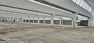 Hala magazynowa 12.000m2 - 4