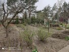 Domek letniskowy w otulinie lasu koło rzeki - 10