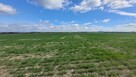 Sprzedaż 1,58 ha - budownictwo mieszkaniowe Opole - 2