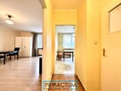 39,5 m2, Blisko UMK, wysoki parter, balkon! - 15