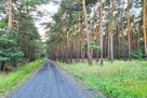 Malowniczo położona działka w Młodzikówku - 10