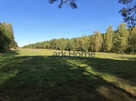 Działka inwestycyjna Suchleb gm. Lipinki Łużyckie, - 3