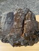 Meteoryt kamienny - 3