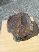 Meteoryt kamienny - 5