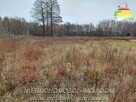 Działka budowlana Prościeniec gm. Wiskitki - 3