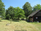 Podlasie -  siedlisko z domem k. Mielnika - 2