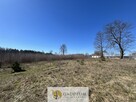 Działka pod budowę domu I 3104 m2 I gm. Lubichowo - 2