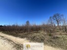 Działka pod budowę domu I 3104 m2 I gm. Lubichowo - 8