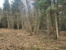 Działka na sprzedaż w Szczawnicy – Bereśnik - 2