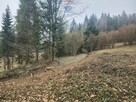 Działka na sprzedaż w Szczawnicy – Bereśnik - 4