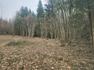 Działka na sprzedaż w Szczawnicy – Bereśnik - 5