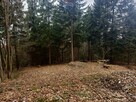 Działka na sprzedaż w Szczawnicy – Bereśnik - 11