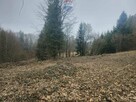 Działka na sprzedaż w Szczawnicy – Bereśnik - 13