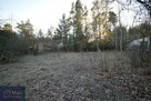 Dom łapy - 4